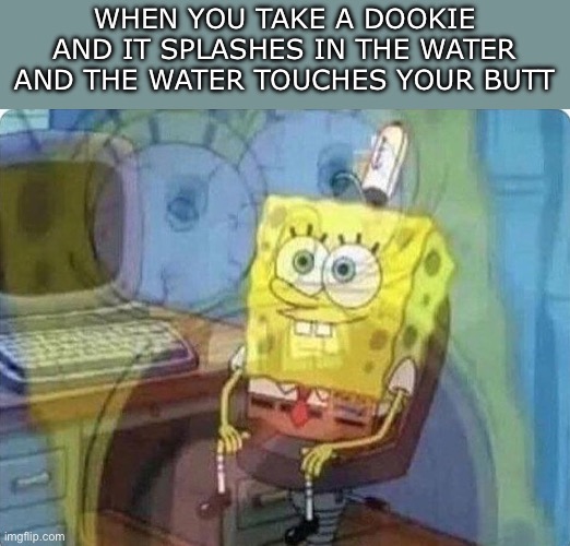 Anybody else hate it when this happens | WHEN YOU TAKE A DOOKIE AND IT SPLASHES IN THE WATER AND THE WATER TOUCHES YOUR BUTT | image tagged in spongebob screaming inside,relatable,funny,so true memes,true story,funny memes | made w/ Imgflip meme maker