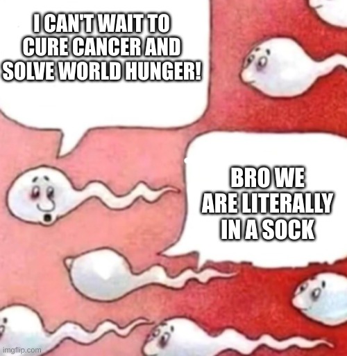 A red sock, to explain the background | I CAN'T WAIT TO CURE CANCER AND SOLVE WORLD HUNGER! BRO WE ARE LITERALLY IN A SOCK | image tagged in sperm conversation | made w/ Imgflip meme maker