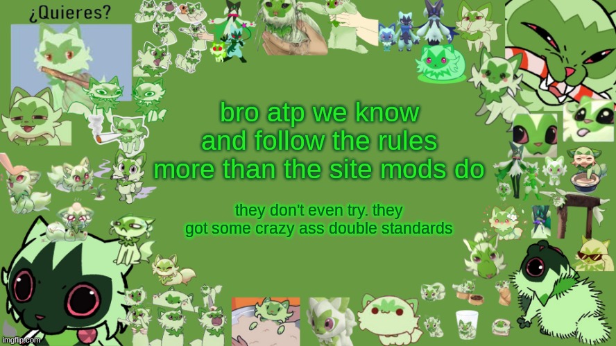 "Just use the nsfw butto-" WE KNOW (more in comments) | bro atp we know and follow the rules more than the site mods do; they don't even try. they got some crazy ass double standards | image tagged in drm's weed cat temp | made w/ Imgflip meme maker