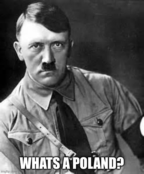 Adolf Hitler | WHATS A POLAND? | image tagged in adolf hitler | made w/ Imgflip meme maker
