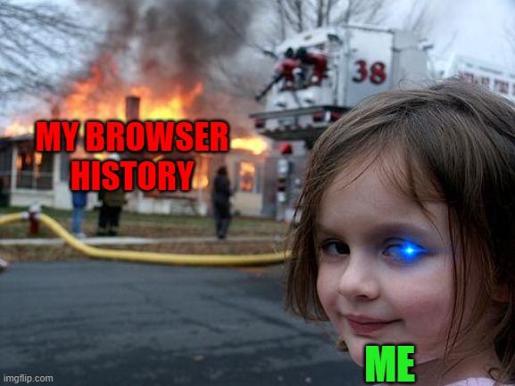 my browser history | MY BROWSER HISTORY; ME | image tagged in memes,disaster girl | made w/ Imgflip meme maker
