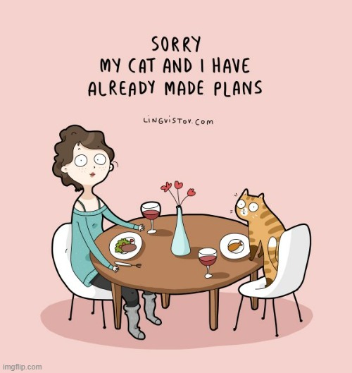 A Cat Lady's Way Of Thinking | image tagged in memes,comics,cat lady,dinner,date,cats | made w/ Imgflip meme maker
