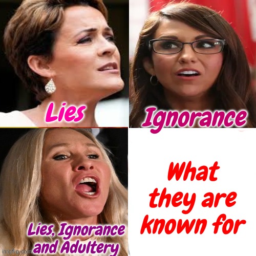 They Could Be Helping Women Across The Country.  Instead They Choose To Humiliate All Women Across The Country | Ignorance; Lies; What they are known for; Lies, Ignorance and Adultery | image tagged in lies,ignorance,adultery,talk about the wrong stuff,memes,scumbag republicans | made w/ Imgflip meme maker
