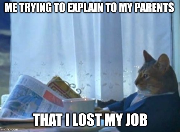 My Job | ME TRYING TO EXPLAIN TO MY PARENTS; THAT I LOST MY JOB | image tagged in memes,i should buy a boat cat | made w/ Imgflip meme maker