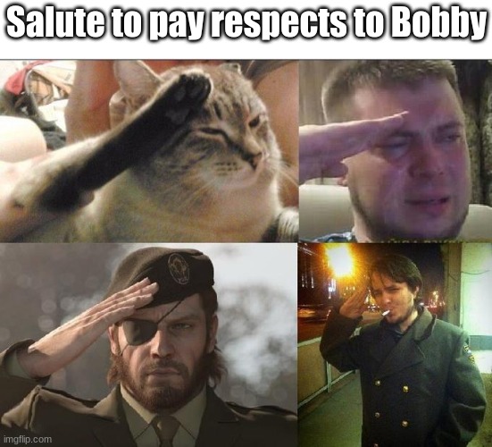 Sad Salute | Salute to pay respects to Bobby | image tagged in sad salute | made w/ Imgflip meme maker
