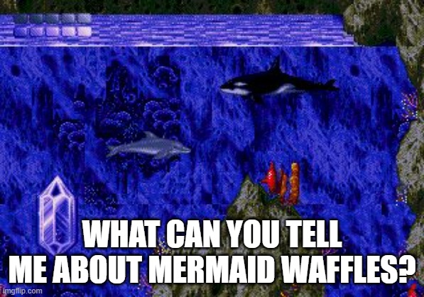 Ecco | WHAT CAN YOU TELL ME ABOUT MERMAID WAFFLES? | image tagged in ecco,waffle,kellogs,shitfood | made w/ Imgflip meme maker