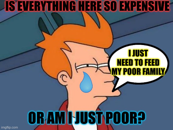 Futurama Fry |  IS EVERYTHING HERE SO EXPENSIVE; I JUST NEED TO FEED MY POOR FAMILY; OR AM I JUST POOR? | image tagged in memes,futurama fry,depression sadness hurt pain anxiety | made w/ Imgflip meme maker
