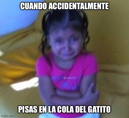 meme | CUANDO ACCIDENTALMENTE; @caldasf17; PISAS EN LA COLA DEL GATITO | image tagged in llorando,gatito | made w/ Imgflip meme maker