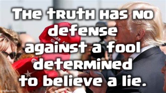 Lying Trump | image tagged in trump,liar,maga | made w/ Imgflip meme maker