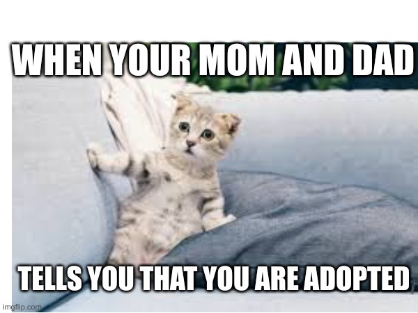 cat 1 | WHEN YOUR MOM AND DAD; TELLS YOU THAT YOU ARE ADOPTED | image tagged in disaster girl | made w/ Imgflip meme maker
