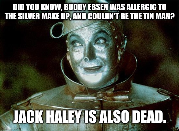 Tin Man Just Sayin' | DID YOU KNOW, BUDDY EBSEN WAS ALLERGIC TO THE SILVER MAKE UP, AND COULDN'T BE THE TIN MAN? JACK HALEY IS ALSO DEAD. | image tagged in tin man just sayin' | made w/ Imgflip meme maker