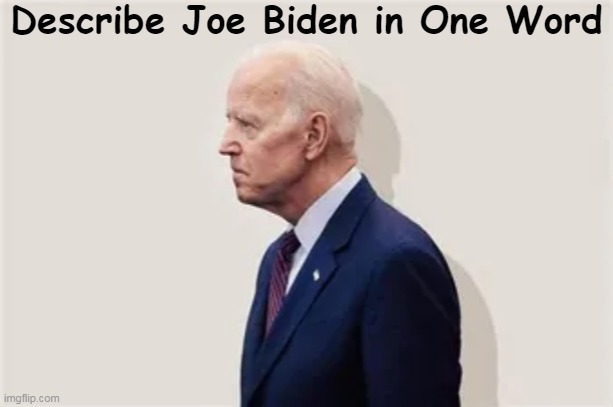 "Incontinent. Oops, I meant incompetent." ~~ edgiesversion | Describe Joe Biden in One Word | image tagged in politics,joe biden,first world problems,political humor,imgflip humor,brilliant will not be on the list | made w/ Imgflip meme maker