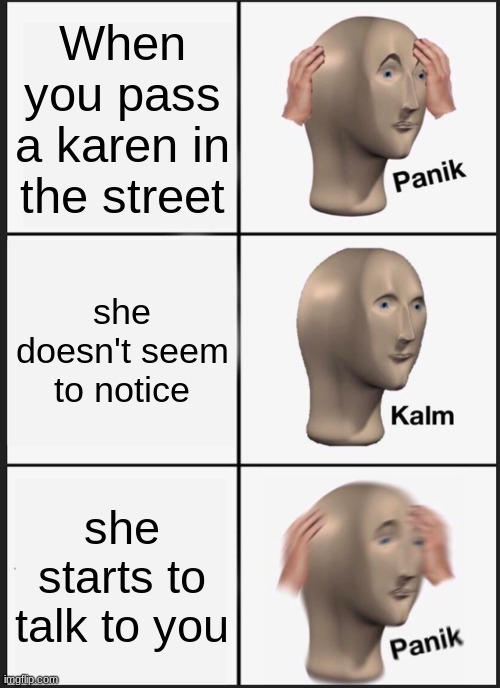 Panik Kalm Panik Meme | When you pass a karen in the street; she doesn't seem to notice; she starts to talk to you | image tagged in memes,panik kalm panik | made w/ Imgflip meme maker