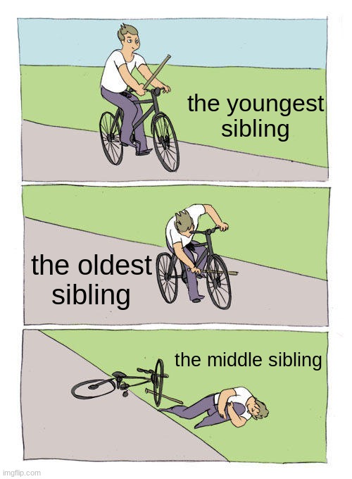 the middle sibling never gets attention rip | the youngest sibling; the oldest sibling; the middle sibling | image tagged in memes,bike fall | made w/ Imgflip meme maker