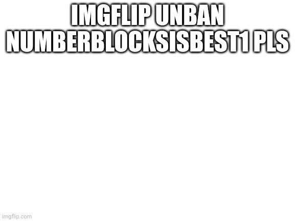 Blank White Template | IMGFLIP UNBAN NUMBERBLOCKSISBEST1 PLS | image tagged in blank white template | made w/ Imgflip meme maker