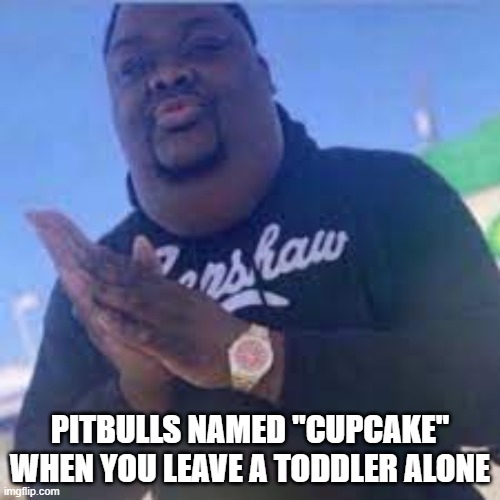 Pitbull's name princess: | PITBULLS NAMED "CUPCAKE" WHEN YOU LEAVE A TODDLER ALONE | image tagged in rizzly bear,funny | made w/ Imgflip meme maker