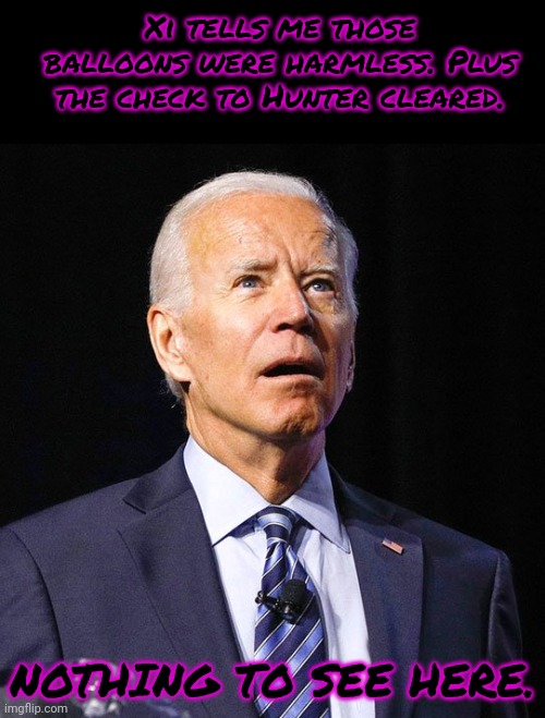 Joe Biden | Xi tells me those balloons were harmless. Plus the check to Hunter cleared. NOTHING TO SEE HERE. | image tagged in joe biden | made w/ Imgflip meme maker