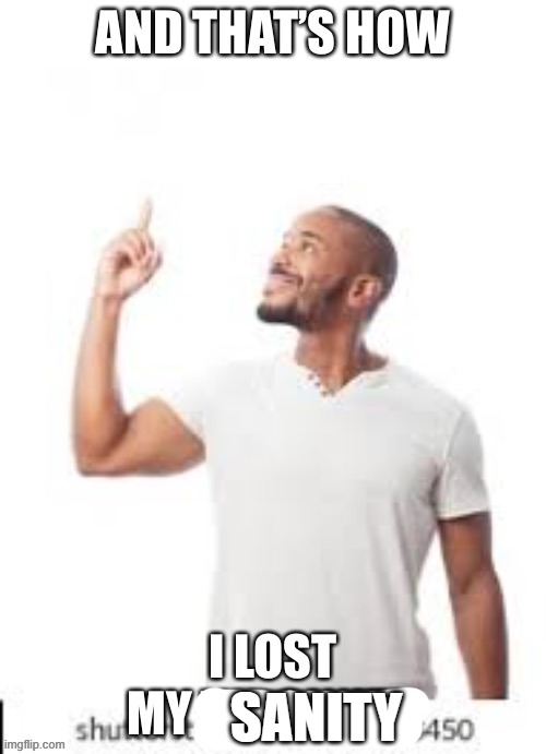 meme. | SANITY | image tagged in and that is how i lost my virginity | made w/ Imgflip meme maker