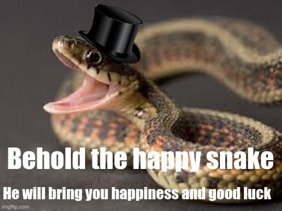 Warning Snake | Behold the happy snake; He will bring you happiness and good luck | image tagged in warning snake | made w/ Imgflip meme maker