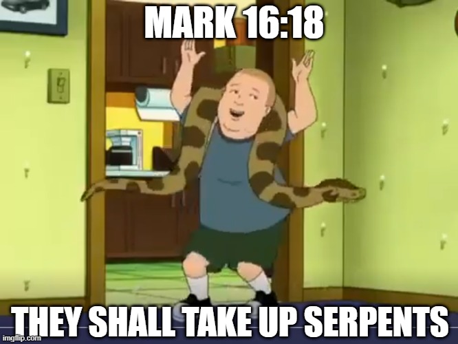 They shall take up serpents | MARK 16:18; THEY SHALL TAKE UP SERPENTS | image tagged in appalachia,bible,serpent handlers | made w/ Imgflip meme maker