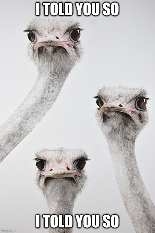 I told you so | I TOLD YOU SO; I TOLD YOU SO | image tagged in i told you so | made w/ Imgflip meme maker