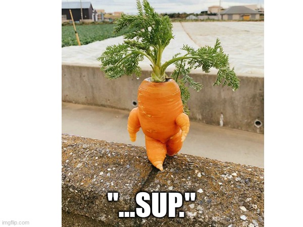 "...SUP." | image tagged in this,carrot,looks,like,a,person | made w/ Imgflip meme maker