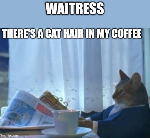 I Should Buy A Boat Cat | WAITRESS; THERE'S A CAT HAIR IN MY COFFEE | image tagged in memes,i should buy a boat cat | made w/ Imgflip meme maker