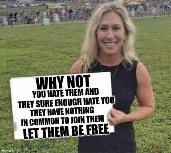 marjorie taylor greene | WHY NOT YOU HATE THEM AND THEY SURE ENOUGH HATE YOU THEY HAVE NOTHING IN COMMON TO JOIN THEM LET THEM BE FREE | image tagged in marjorie taylor greene | made w/ Imgflip meme maker