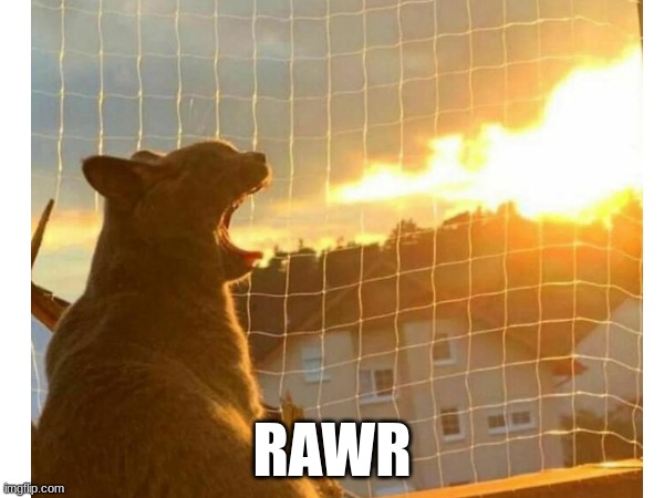 RAWR | image tagged in this,cat,is,breathing,fire | made w/ Imgflip meme maker