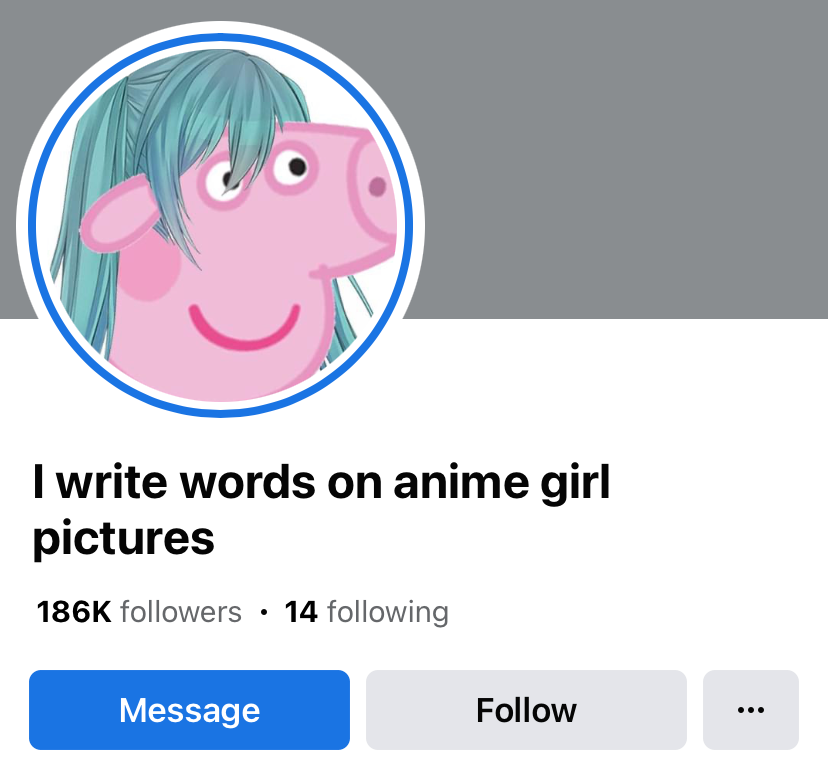 I write words on anime girl pictures Blank Meme Template