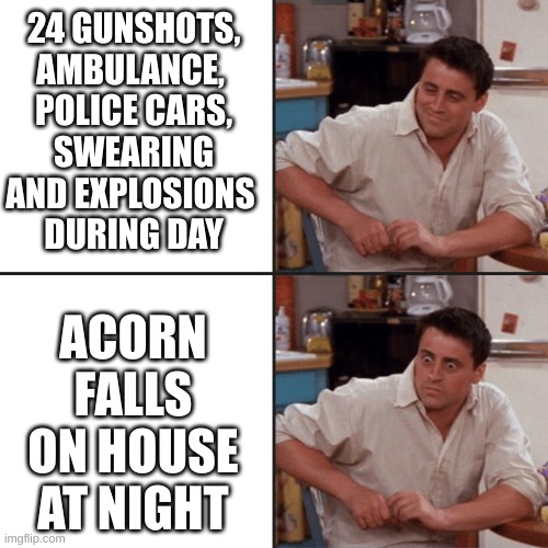 if there's no sound then i fear i am dead | 24 GUNSHOTS,
AMBULANCE, 
POLICE CARS,
SWEARING
AND EXPLOSIONS 
DURING DAY; ACORN FALLS ON HOUSE AT NIGHT | image tagged in joey friends | made w/ Imgflip meme maker