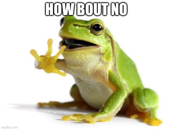 How 'bout no frog | HOW BOUT NO | image tagged in how 'bout no frog | made w/ Imgflip meme maker
