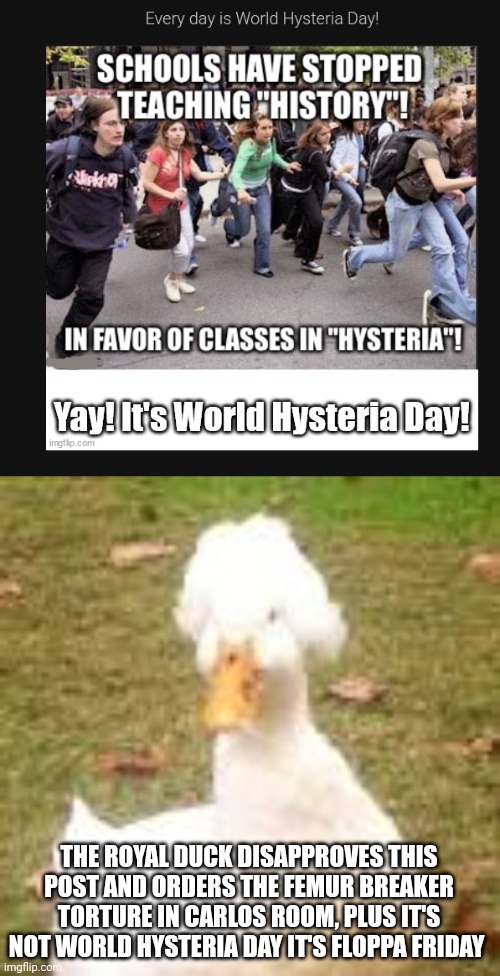 THE ROYAL DUCK DISAPPROVES THIS POST AND ORDERS THE FEMUR BREAKER TORTURE IN CARLOS ROOM, PLUS IT'S NOT WORLD HYSTERIA DAY IT'S FLOPPA FRIDAY | image tagged in the royal duck | made w/ Imgflip meme maker