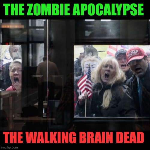 Trump Michigan Protesters | THE ZOMBIE APOCALYPSE; THE WALKING BRAIN DEAD | image tagged in trump michigan protesters | made w/ Imgflip meme maker