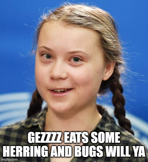 Greta Thunberg | GEZZZZ EATS SOME HERRING AND BUGS WILL YA | image tagged in greta thunberg | made w/ Imgflip meme maker