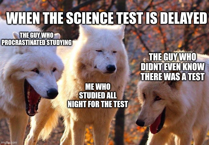 this is true story | WHEN THE SCIENCE TEST IS DELAYED; THE GUY WHO PROCRASTINATED STUDYING; THE GUY WHO DIDNT EVEN KNOW THERE WAS A TEST; ME WHO STUDIED ALL NIGHT FOR THE TEST | image tagged in 2/3 wolves laugh | made w/ Imgflip meme maker