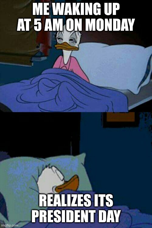 Literally me in a few days | ME WAKING UP AT 5 AM ON MONDAY; REALIZES ITS PRESIDENT DAY | image tagged in sleepy donald duck in bed | made w/ Imgflip meme maker