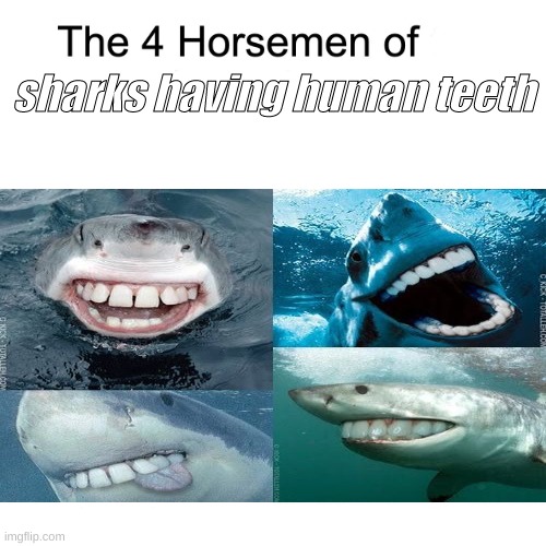 imagine one saying cheese | sharks having human teeth | made w/ Imgflip meme maker