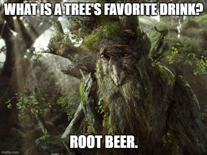 Daily Bad Dad Joke February 17 2023 | WHAT IS A TREE'S FAVORITE DRINK? ROOT BEER. | image tagged in treebeard meme | made w/ Imgflip meme maker