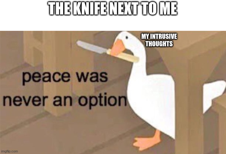 Untitled Goose Peace Was Never an Option |  THE KNIFE NEXT TO ME; MY INTRUSIVE THOUGHTS | image tagged in untitled goose peace was never an option | made w/ Imgflip meme maker