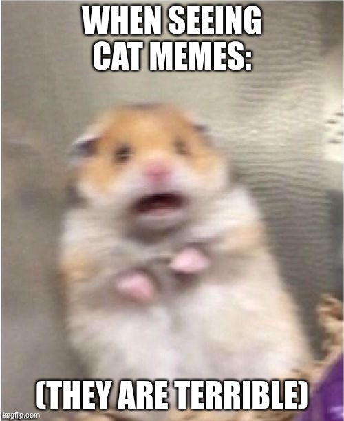 Def dont look here | WHEN SEEING CAT MEMES:; (THEY ARE TERRIBLE) | image tagged in scared hamster | made w/ Imgflip meme maker