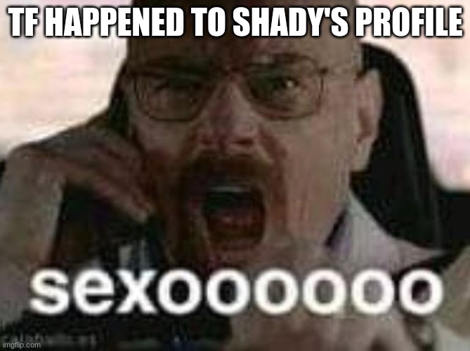 Sexoooooo | TF HAPPENED TO SHADY'S PROFILE | image tagged in sexoooooo | made w/ Imgflip meme maker