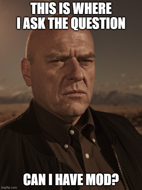 Hank Schrader - Breaking Bad - Dean Norris | THIS IS WHERE I ASK THE QUESTION; CAN I HAVE MOD? | image tagged in hank schrader - breaking bad - dean norris | made w/ Imgflip meme maker
