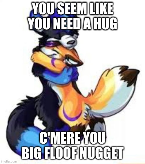 (Mod: ty) | YOU SEEM LIKE YOU NEED A HUG; C'MERE YOU BIG FLOOF NUGGET | image tagged in furry hugs | made w/ Imgflip meme maker