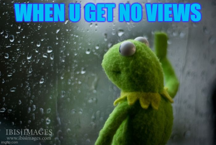 nothing | WHEN U GET NO VIEWS | image tagged in kermit window | made w/ Imgflip meme maker