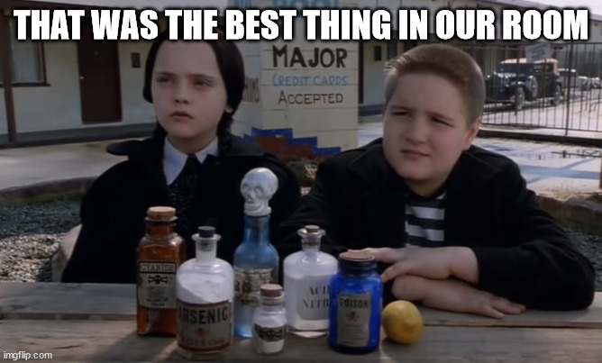 Wednesday & Pugsley Addams | THAT WAS THE BEST THING IN OUR ROOM | image tagged in wednesday pugsley addams | made w/ Imgflip meme maker