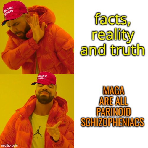 Drake Hotline Bling Meme | facts, reality and truth MAGA ARE ALL PARINOID SCHIZOPHENIACS | image tagged in memes,drake hotline bling | made w/ Imgflip meme maker