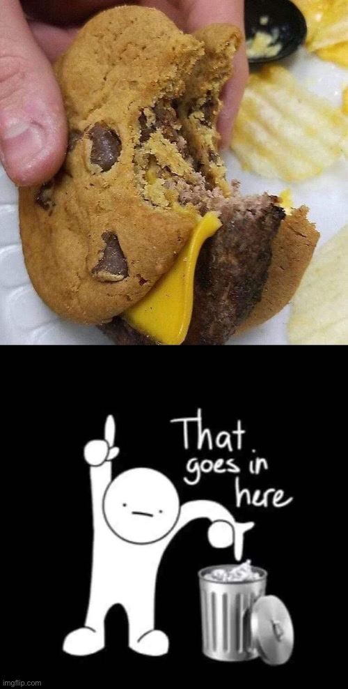 I wouldn’t eat that | image tagged in that goes in here,gross,food,disgusting,wtf,memes | made w/ Imgflip meme maker