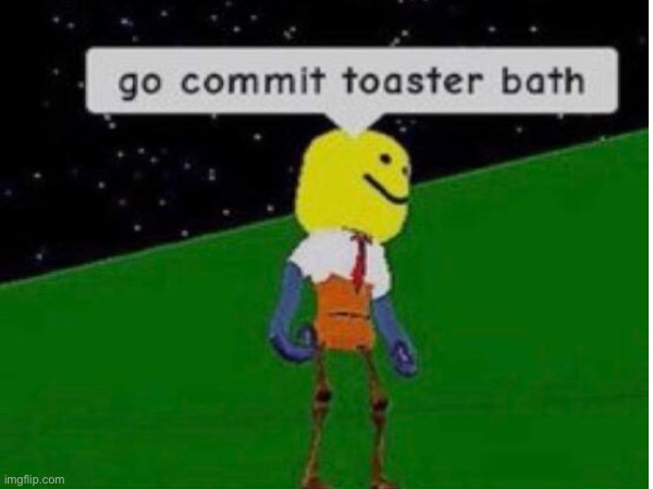 GO COMMIT TOASTER BATH | image tagged in go,commit,toaster,bath | made w/ Imgflip meme maker