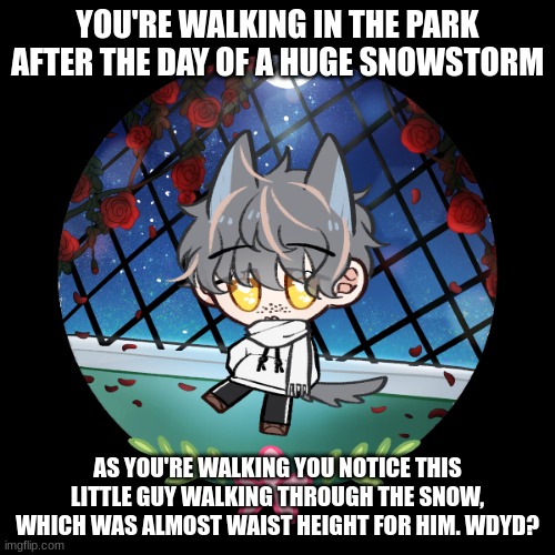Ignoring him will just end the roleplay|No hurting or killing him|No joke OCS | YOU'RE WALKING IN THE PARK AFTER THE DAY OF A HUGE SNOWSTORM; AS YOU'RE WALKING YOU NOTICE THIS LITTLE GUY WALKING THROUGH THE SNOW, WHICH WAS ALMOST WAIST HEIGHT FOR HIM. WDYD? | image tagged in roleplay,any rp,no erp | made w/ Imgflip meme maker